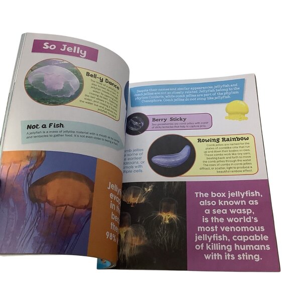 Kidsbooks STEM The Big Book Of Animals And Sharks & Sea Creatures Set - Picture 3 of 8